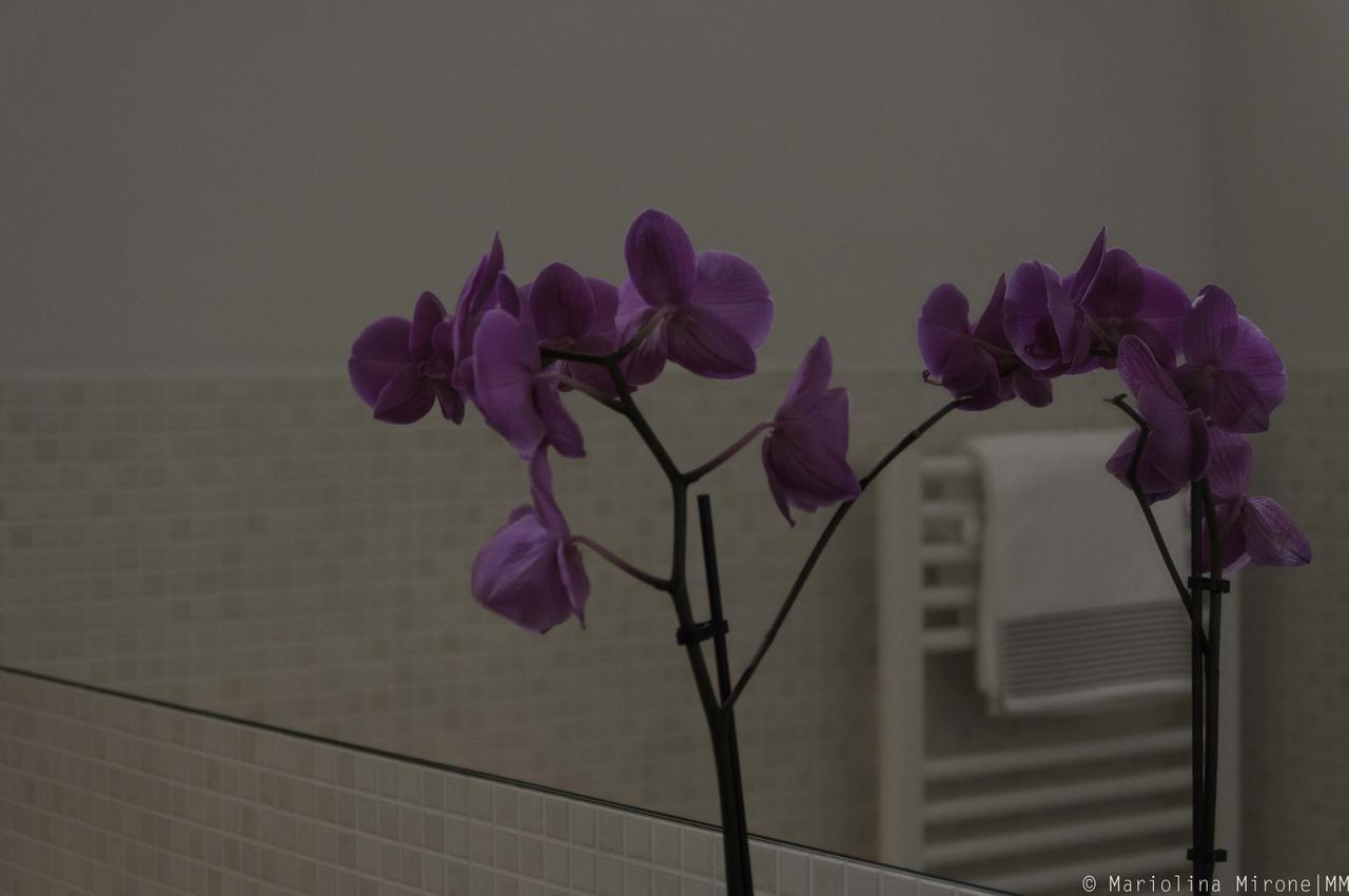 I Balconi Sul Castello Bed and Breakfast Catania Exterior foto